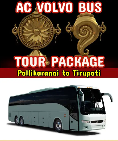 Tirupati One Day Trip from Pallikaranai by Bus